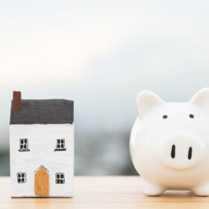 Piggy bank and home model