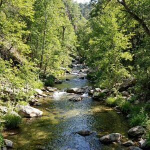 A tranquil creek flowing through a lush, green canyon. A peaceful creek flowing through a lush green canyon with trees.